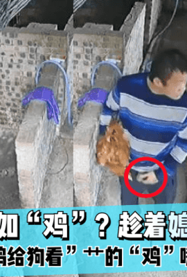 【独家爆料】媳妇不如“鸡”？趁着媳妇看电视“奸鸡给狗看”艹的“鸡”嗷嗷叫！!