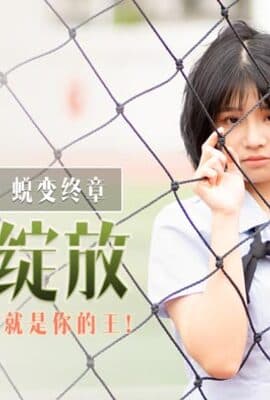 DD-005_蜕变终章之情如烟花绽放_情慾世界，我就是你的王！官网