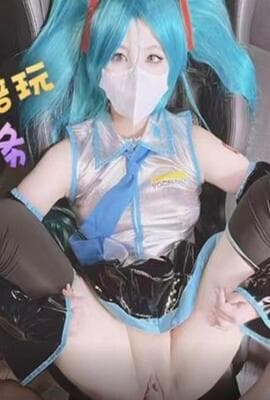 初音未来的陪玩 性服务